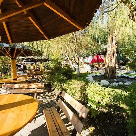 Hotel Gura Diham à Buşteni Extérieur photo